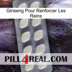 Ginseng For Reinforcing Kidney 08
